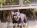 노르까후손