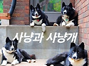 베어독식구들