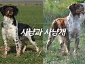 브리톤