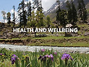 건강 및 웰빙