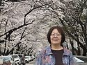 사진모음