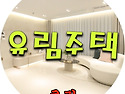 #고급.다양 / 갈현동 고급..