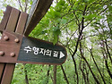 노루목전망대(25년5월)-3