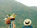 오늘13일