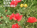 20260531 출석부🍀