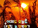 "너, 빨기만 해, 씹으면 안돼!"