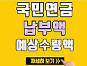 국민연금 납부내역조회[국민연금 납입내역조회,납부 횟수]