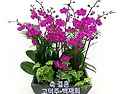 고현종(우정아) 아들 고덕..