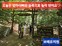 #보배유치원 숲 속 참여수..