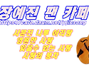 스킨