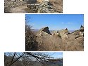 제249차 보성 오봉산 정기산행 5월 17일(토)