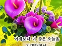 추석명절연휴기간의 화두=불법선거와 행정소송 국민소송화. 국민필독서