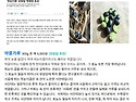 얼음동동~ 미숫가루 할인판..