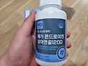 관절 연골 콘드로이친 상어..