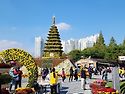 익산 국화축제