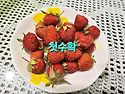 딸기수확