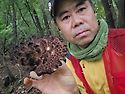 2025년 우중 능이버섯산행 능이닷 9...