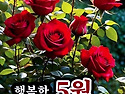 "홍하사의 잡다한 이야기"---(1550..