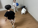 2026년 6월 3주차 (공룡..