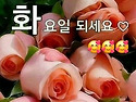 장애인복지관 배식봉사 첫째(화)팀 2..