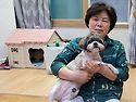 젤리와행복이