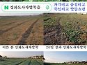 아기준비 도움