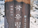 횡성 명품숲(20240311)