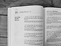 2026년 5월 20일(수)