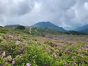 황매산