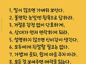 삶의 지혜 모음