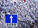 꽃물결