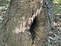 목청 산행기