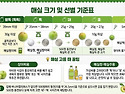 저농약 홍매실 판매합니다..