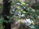 울산바위를 마주 본 신선대
