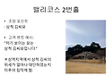 밸리코스 2번홀