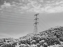 공주 마곡사