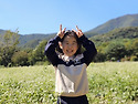 통도사메밀꽃밭~~