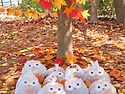 🍂🍁 알록달록 가을 단풍 놀이 🍁🍂