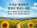 열정이 빛나는 8월