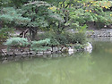창경궁 여행.