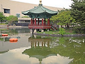 국립중앙박물관 주변 탐방..