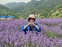 무릉별유천지