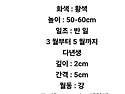 소형알리움 몰리