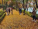 석촌호수