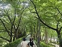 429회;오늘도 양재천