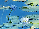 전 화 위 복
