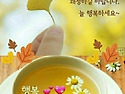 낭만의 계절 가을