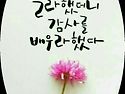 오늘도