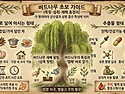 버드나무 처음 접하는 분들..
