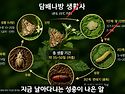 교육 농사친구(고추약소개)
